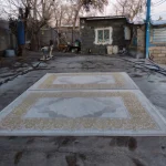 شستشوی خوشخواب در نیشابور