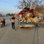 مبل‌شویی تخصصی در منزل - تصویر 3