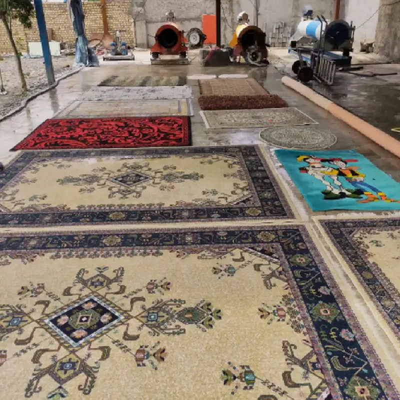شستشوی پتینه نیشابور